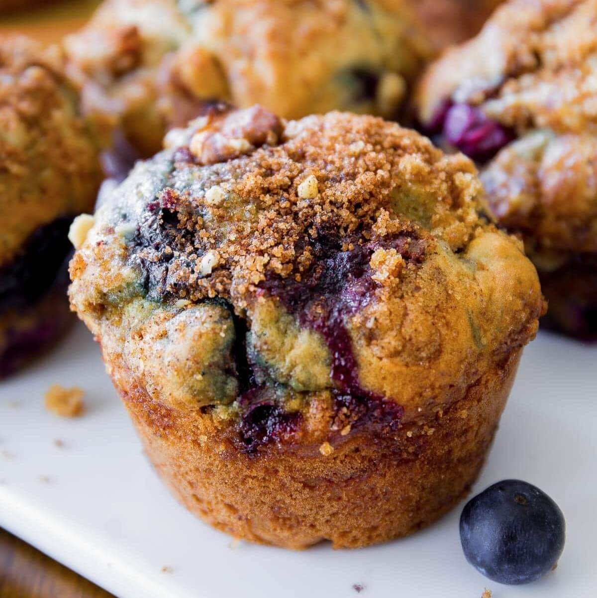Blueberry Muffin